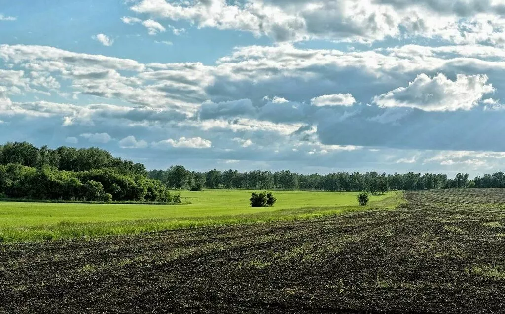 земля сельхозназначения  в Кирове и Кировской области